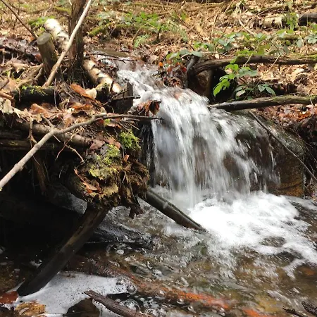 Ackerbürgerhof * Gernrode (Saxony-Anhalt)