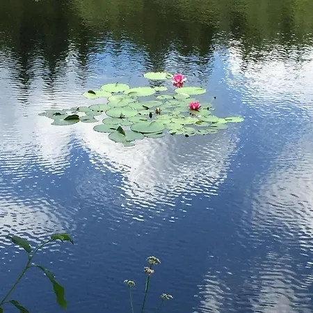 Ackerbürgerhof Apartamento Gernrode (Saxony-Anhalt)