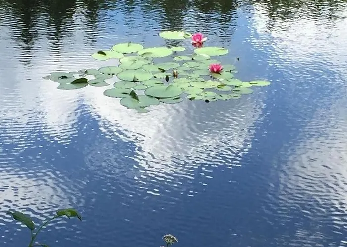 Ackerbuergerhof Appartement Gernrode (Saxony-Anhalt)