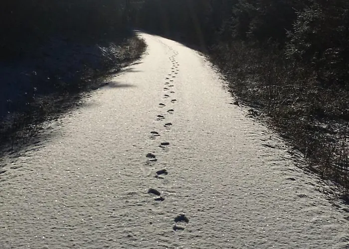 Ackerbuergerhof Appartement *