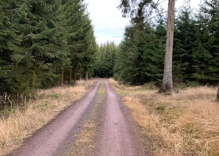 Ackerbuergerhof Appartement Gernrode (Saxony-Anhalt)